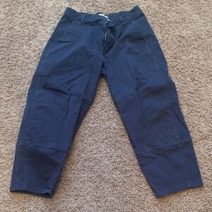 Everlane Women’s Deep Blue Chinos